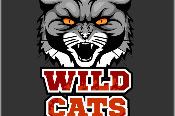 野猫图案裁片印花，彰显运动风服装魅力