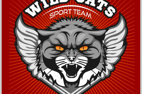 野猫图案裁片印花，打造个性服装