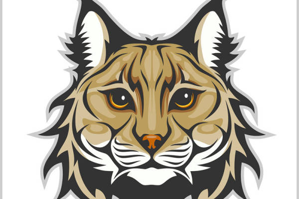 野猫头像印花素材:服装印花的完美选择