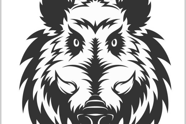 野兽之魂：猛虎头像印花素材，打造个性服装