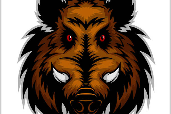 野猪头像裁片印花，服装印花新选择