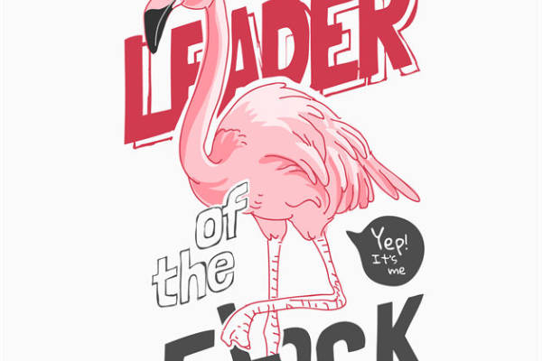 时尚火烈鸟裁片印花，打造个性服装