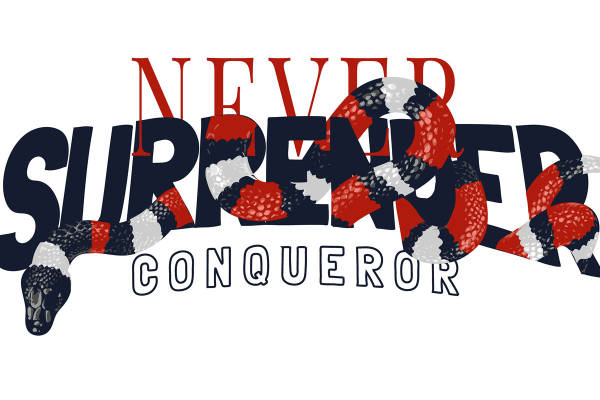 红色与黑色蛇纹图案服装印花素材