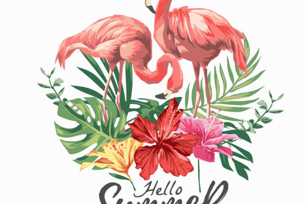 热带风情火烈鸟与花卉图案服装印花裁片