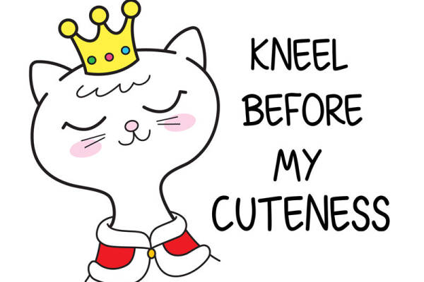 萌趣猫王：可爱印花图案为您的服装增添趣味