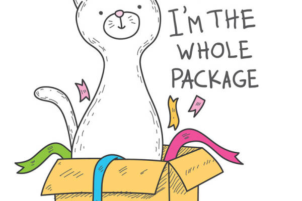 萌猫出箱,打造独特服装印花