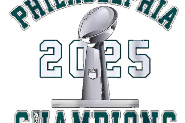 2025年超级碗冠军主题服装印花裁片