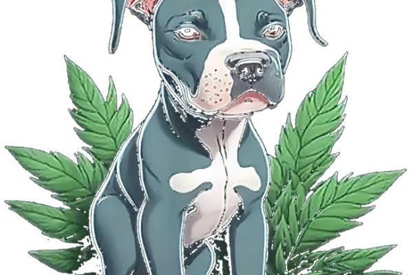 个性萌宠与大麻叶的完美结合：服装印花裁片