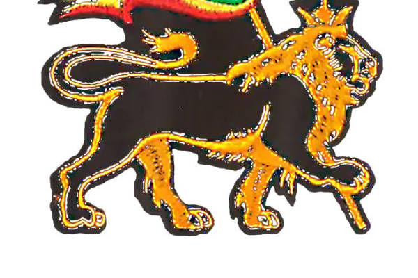 华丽狮子纹样服装印花裁片设计