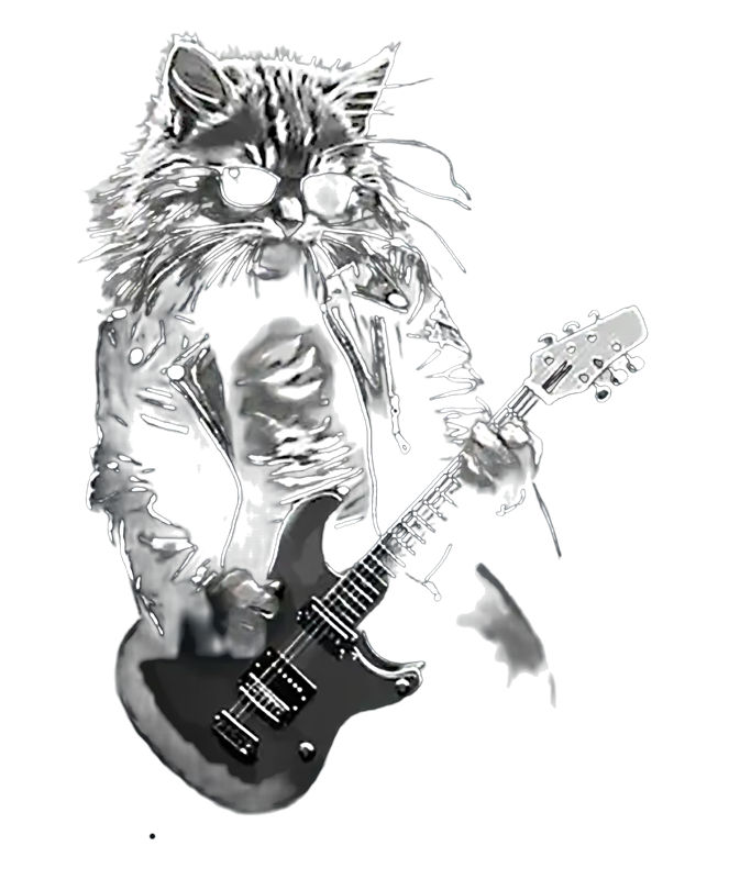 摇滚猫吉他手图案印花，打造个性服装
