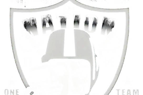 裁片印花设计：经典盾形图案，适用服装印花