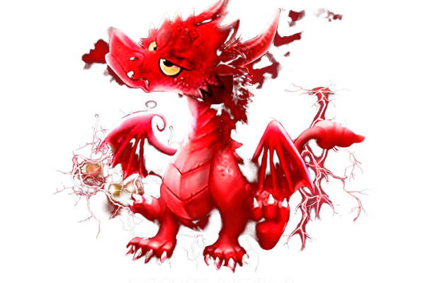 红龙裁片印花：服装印花新选择