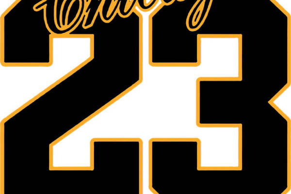 经典芝加哥23号数字印花服装裁片