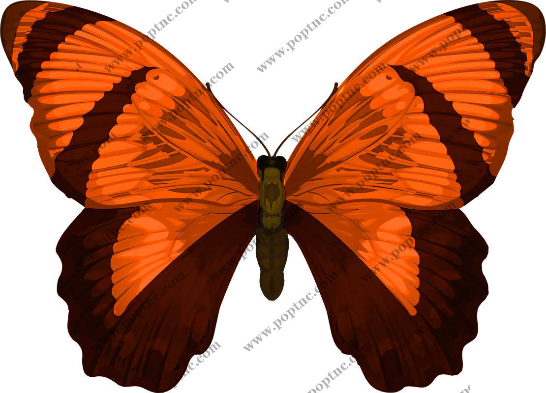 橙色蝴蝶图案服装印花裁片设计灵感