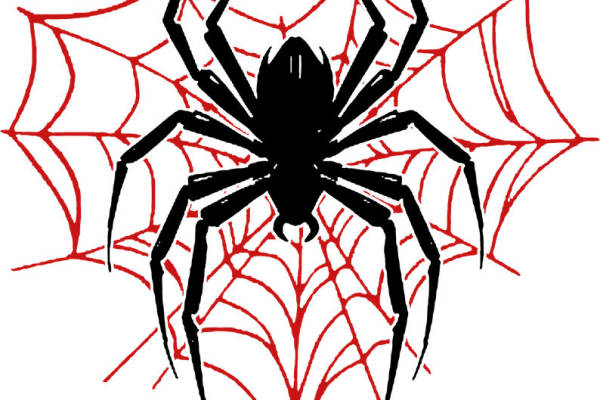 黑色蜘蛛与红色蜘蛛网：服装印花新宠