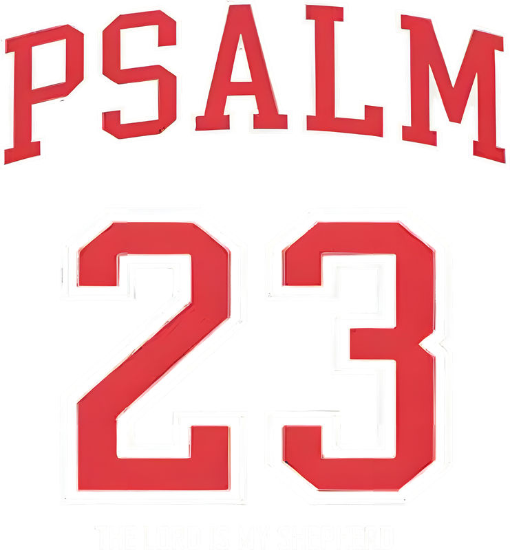 红色数字23与字母PSALM的服装印花裁片