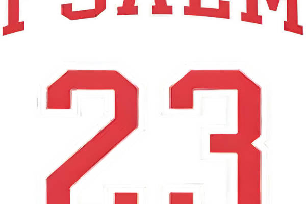 红色数字23与字母PSALM的服装印花裁片