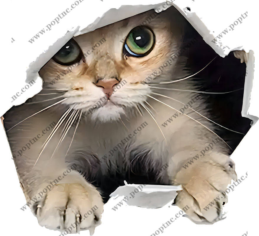 猫头破洞创意服装印花裁片