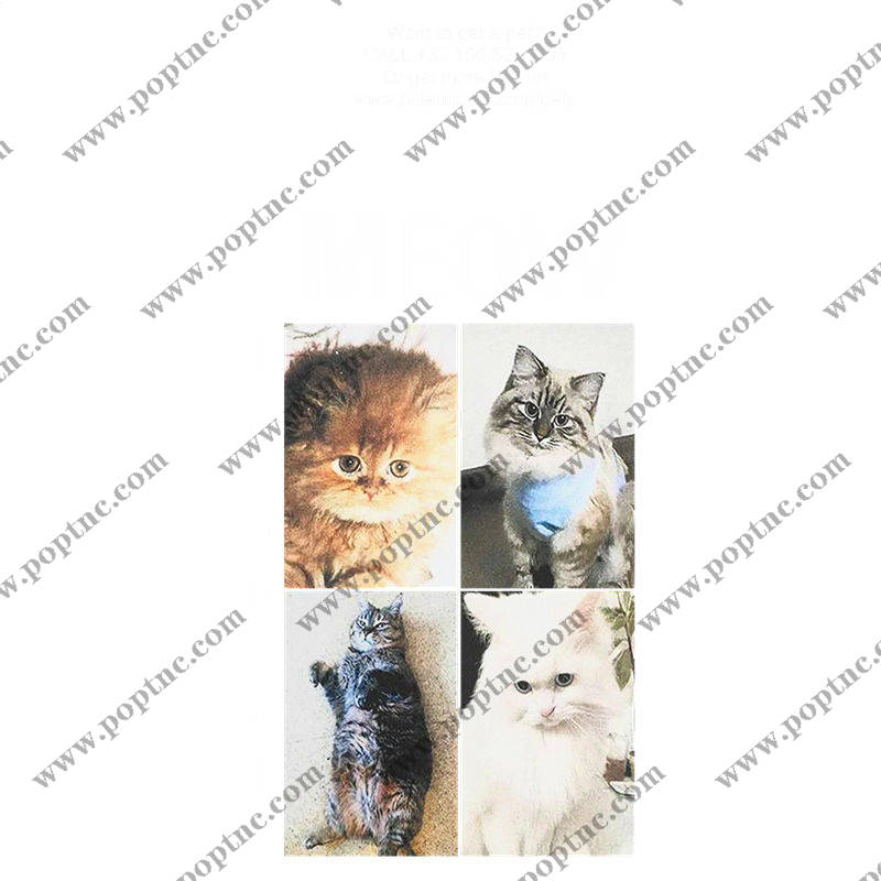 可爱猫咪图案裁片印花,打造个性服装