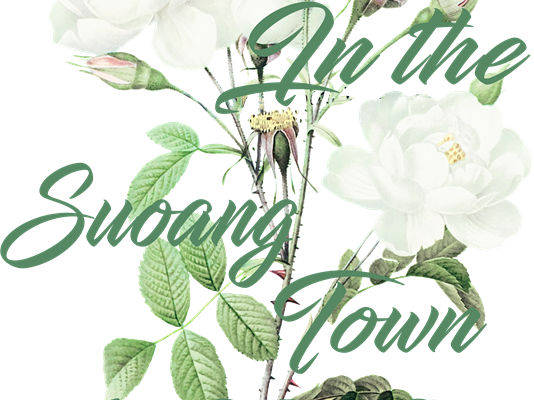 自然浪漫白玫瑰花型服装印花裁片