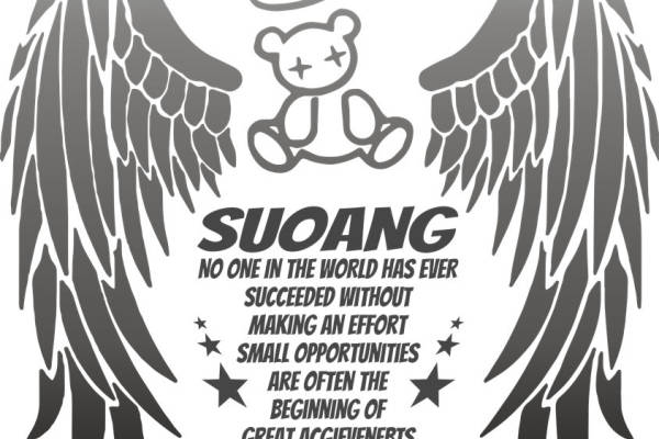 天使翅膀小熊印花：服装印花创意设计