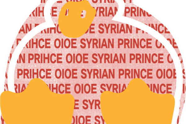 时尚裁片印花：复古风叙利亚文字图案服装印花