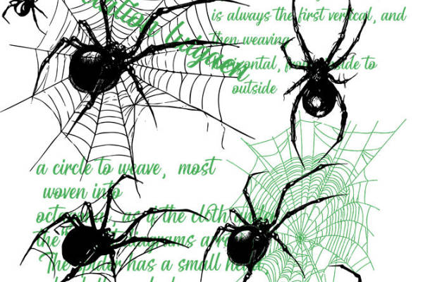 深邃神秘的蜘蛛网纹路服装印花