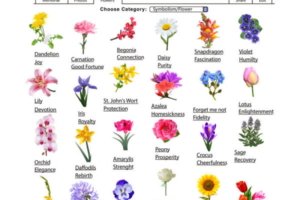 自然花型裁片印花，打造独特服装设计