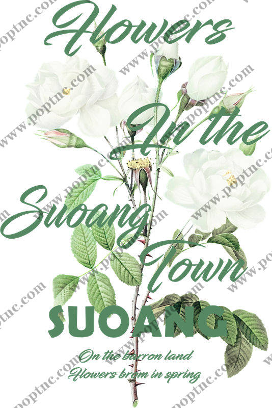 浪漫春日白玫瑰花型服装印花裁片