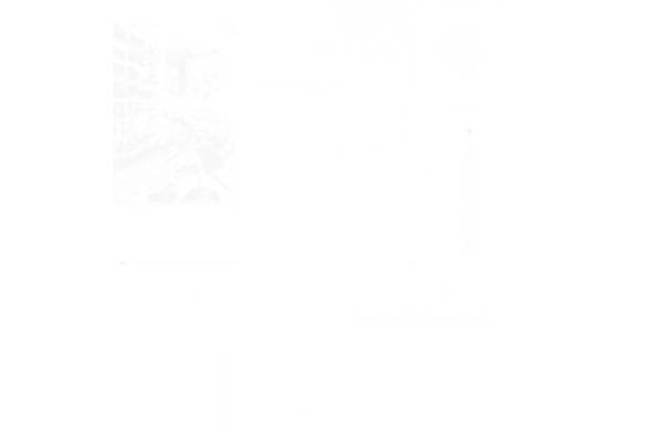 精致花型裁片印花,打造时尚服装