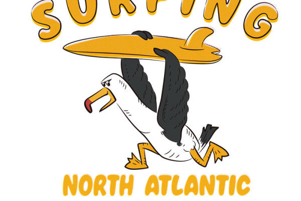 北太平洋海鸥冲浪图案服装印花裁片