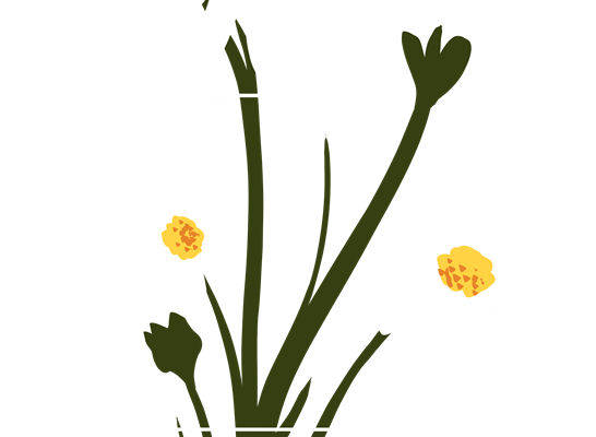 自然风花型图案服装印花裁片设计灵感