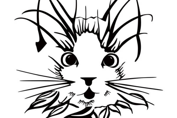 萌趣猫咪印花图案，轻松打造个性服装