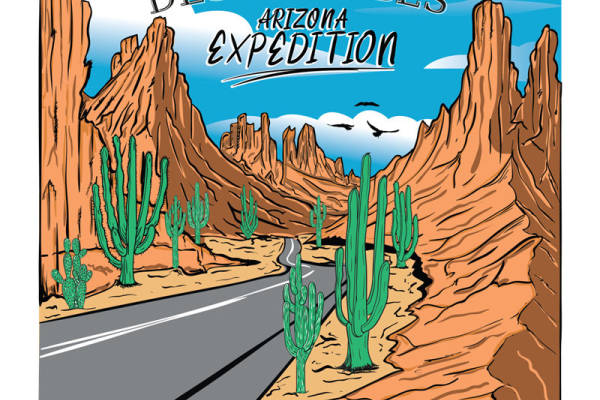 沙漠探险：独特纹理服装印花素材