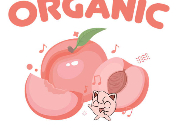 清新可爱桃子图案服装印花裁片