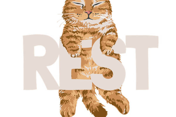 轻松舒适的猫咪图案服装印花素材