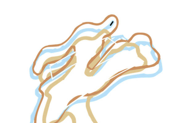 自然风裁片印花：柔美花卉图案服装印花