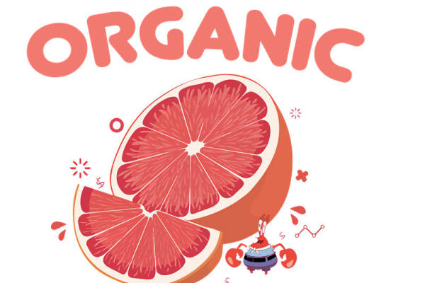 自然有机葡萄柚印花裁片：服装印花新选择