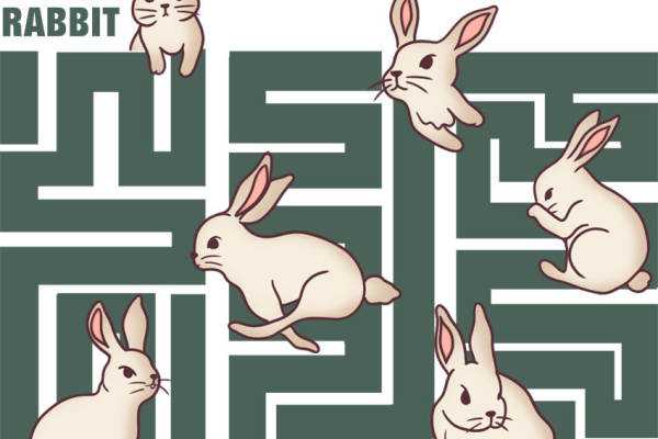萌趣兔子迷宫图案服装印花裁片