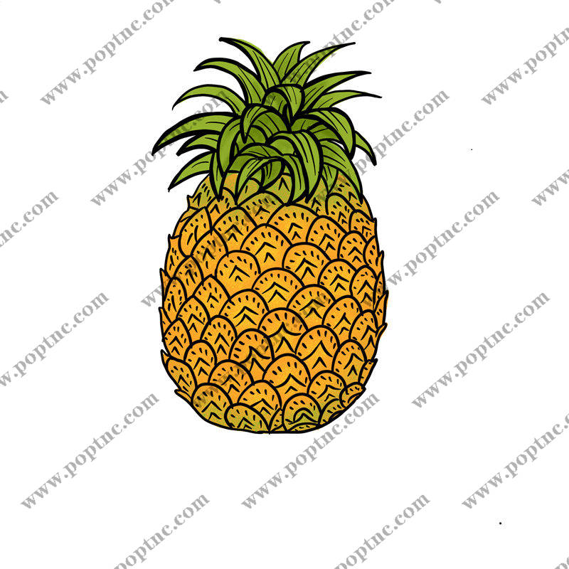 热带风情菠萝印花:服装印花新宠