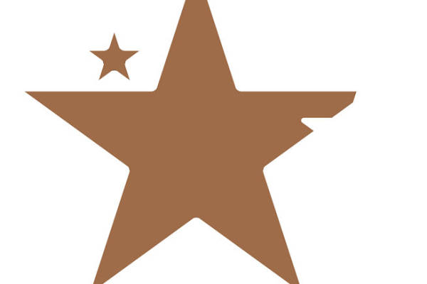 棕色五角星图案：服装印花裁片设计灵感