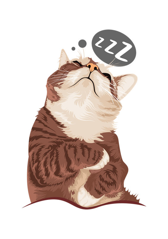 轻松打造个性服装：轻松上手的猫咪图案裁片印花