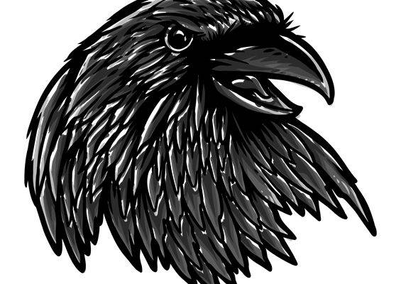 暗夜乌鸦头像印花素材，打造独特服装印花效果