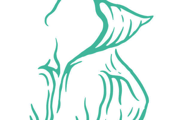 优雅水滴形花型，打造时尚服装印花