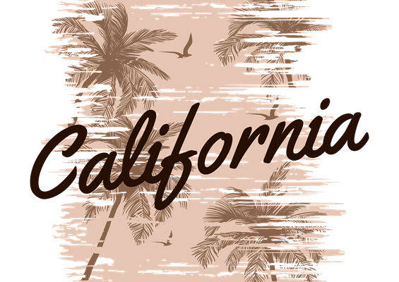 西海岸棕榈树与海鸥图案服装印花