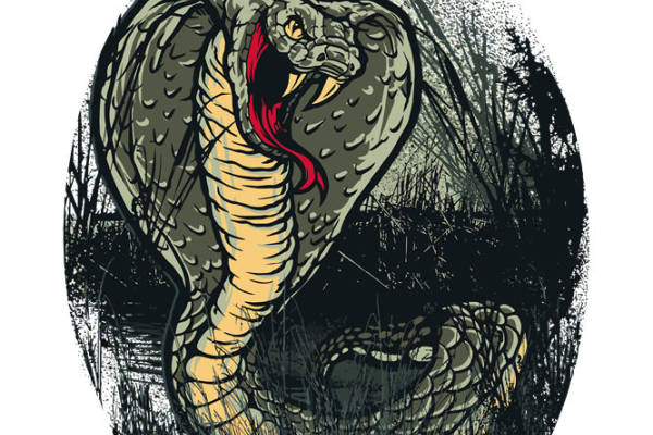 神秘蛇纹裁片印花:服装印花新选择