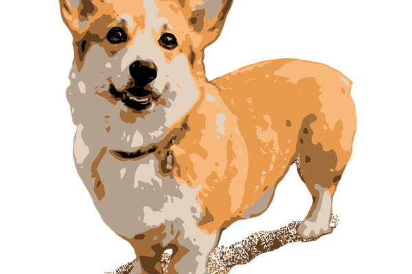 可爱柯基犬图案服装印花素材，轻松打造个性时尚