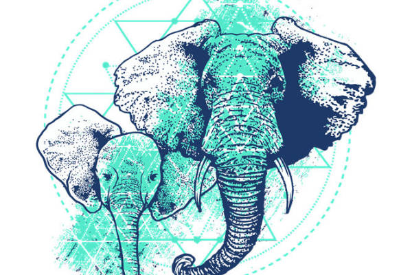 大象纹样服装印花：自然与力量的完美结合