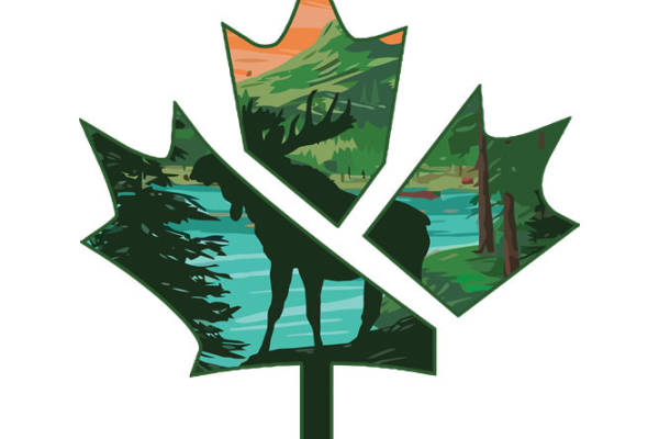 自然森林风貌印花：打造自然风格服装