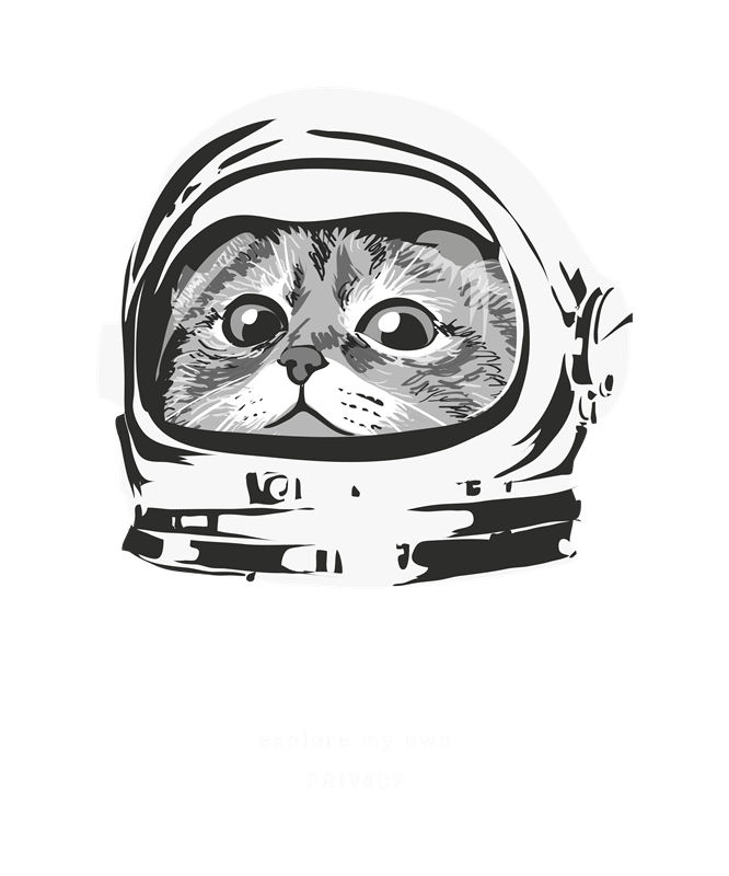 萌趣猫头宇航员印花图案，打造独特服装设计